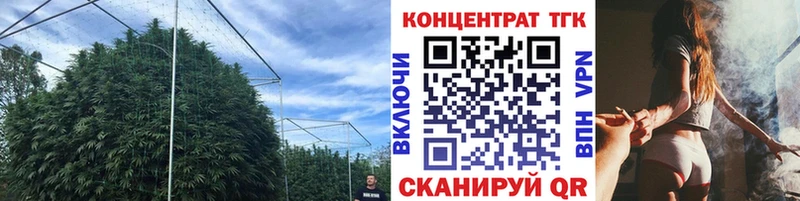ТГК гашишное масло  Купить закладки  Курганинск 