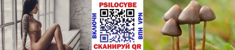 Купить где  Курганинск  Галлюциногенные грибы Psilocybine cubensis 
